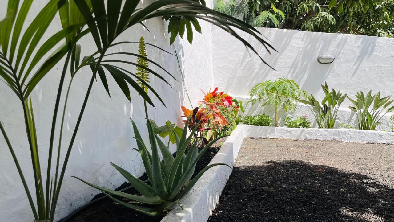 Jardin De La Suerte Villa Agaete  Exteriör bild